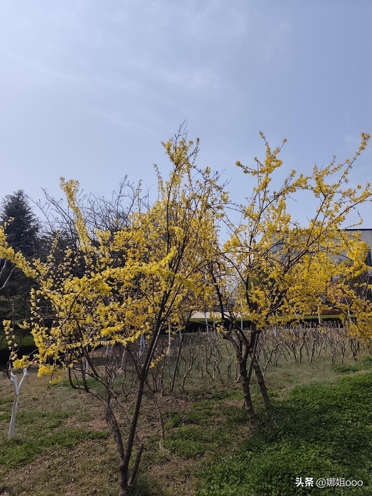 难道这事就这么草草结束了？现在才明白某大佬那句话的含金量，他是这么提醒董宇辉的：