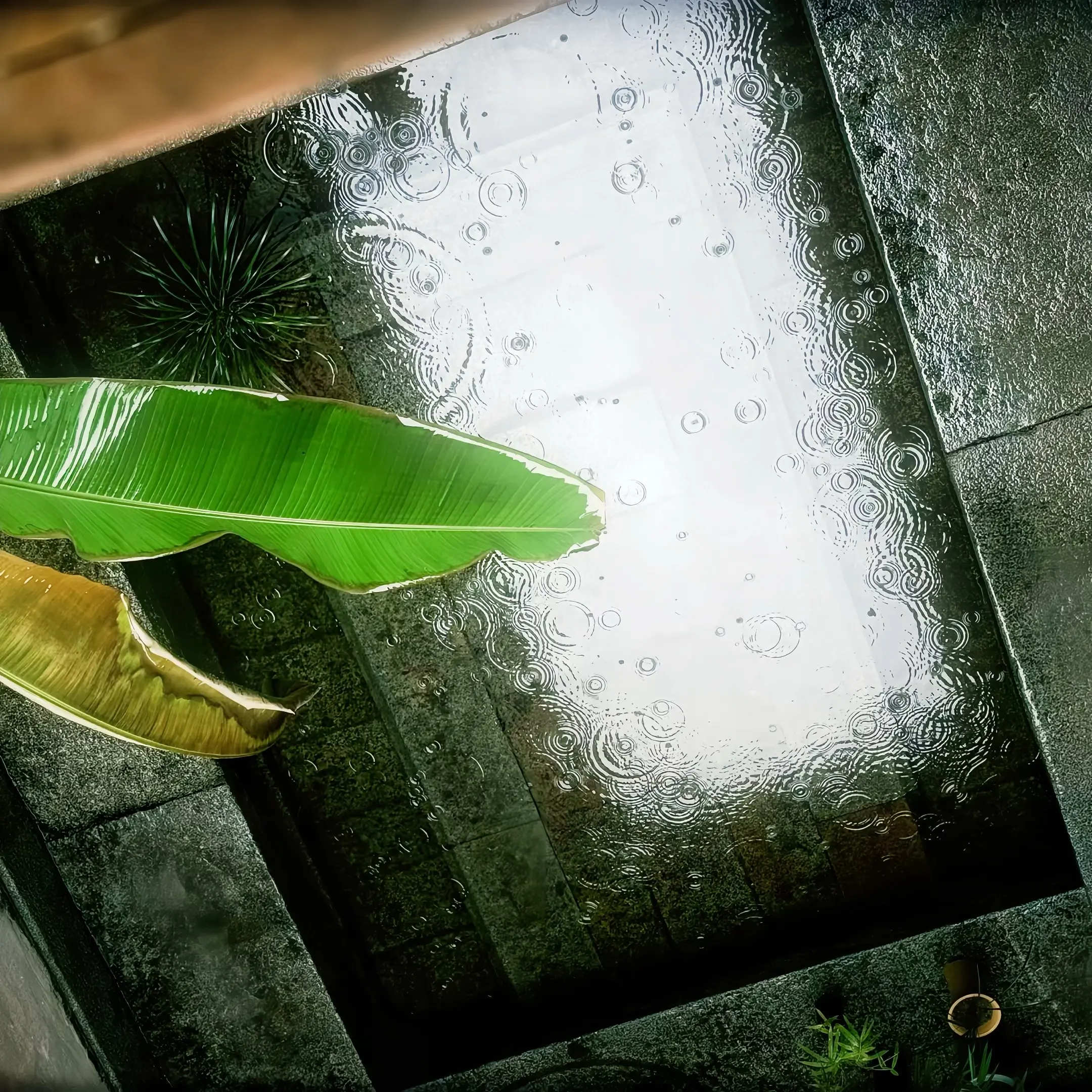 時間會沖淡一切 但記憶總能引起波瀾