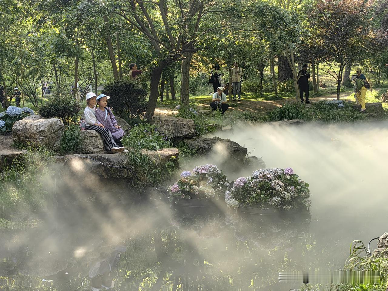 南京的莫奈花园（中山植物园南园），不大但挺出片，绣球花也没有想象的多，但意境拉满