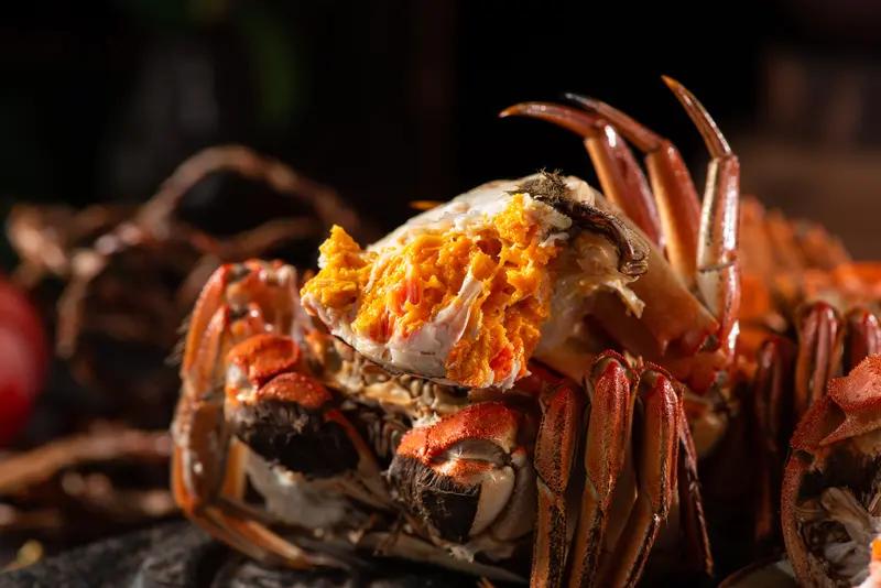 大闸蟹在美泛滥成灾
近日，一只大闸蟹在美国俄勒冈州被发现，引起了当地的恐慌。只因