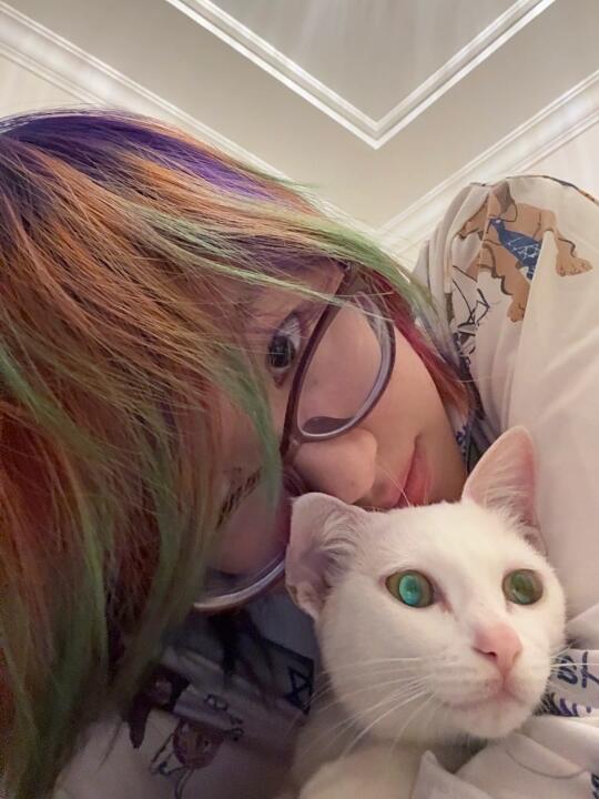 好喜欢新捡的小猫🐈