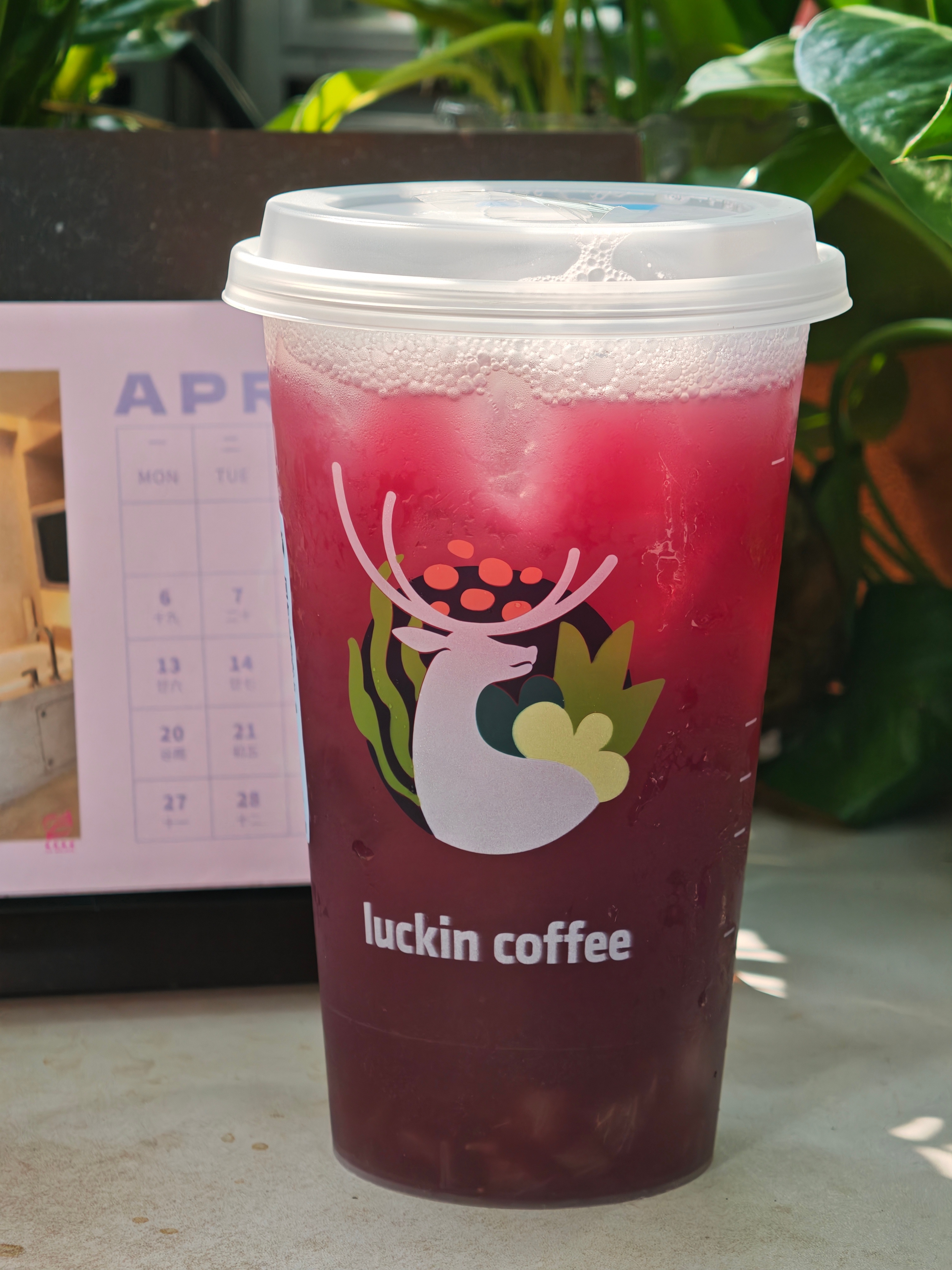 每天早起打卡 美好的周五，瑞一杯