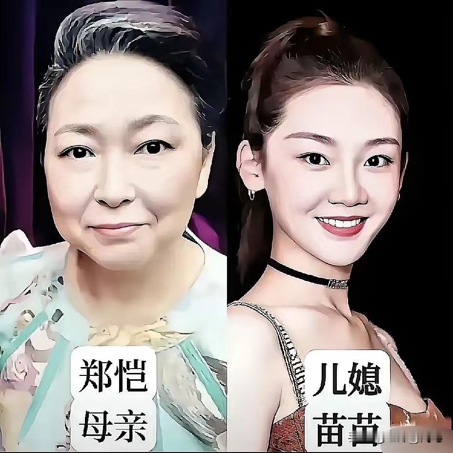 都说婆媳关系是千古难题，普通人家如此，明星家庭也不例外。

苗苗嫁给郑恺后，直接