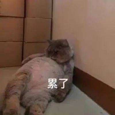 丰富一下表情包
