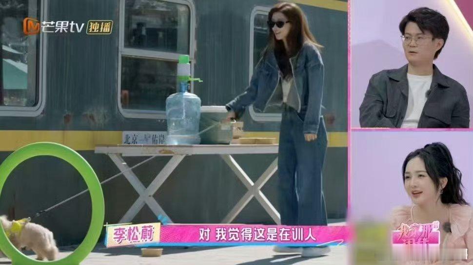 狗界障碍赛考的是张予曦我家那闺女 谁懂啊！《我家那闺女》里张予曦带狗比赛，小狗参