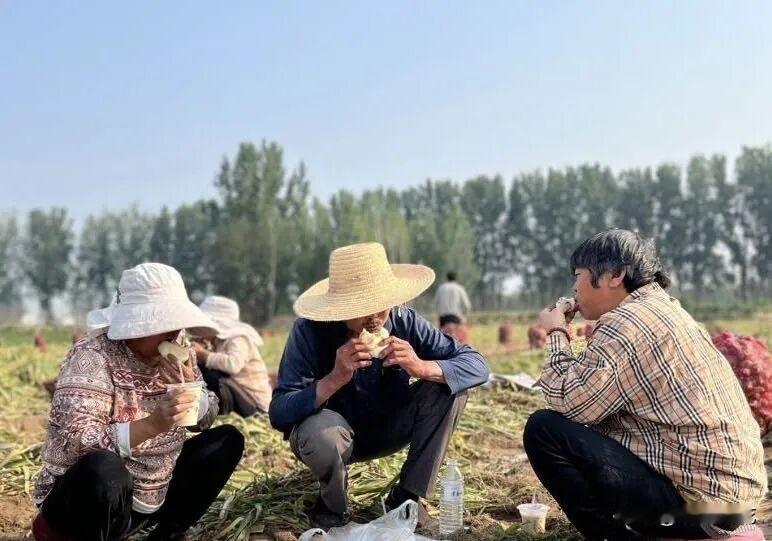 陈依苏下午要随妈妈回山东菏泽了，她来我家向小伙伴儿告别。

依苏今年五周岁，菏泽