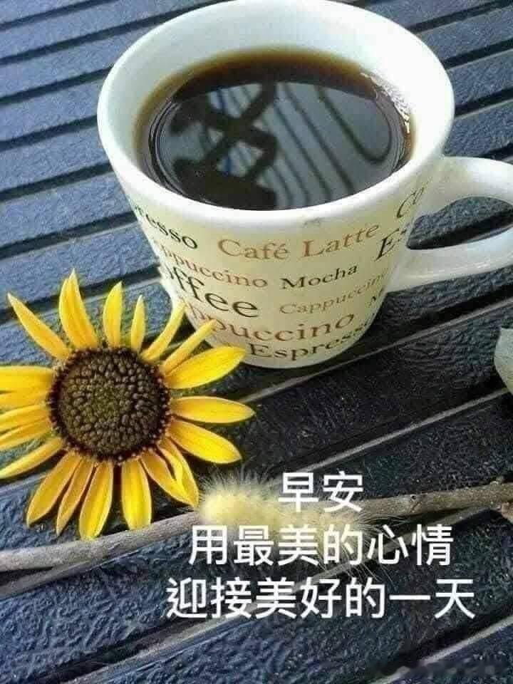 早上好 