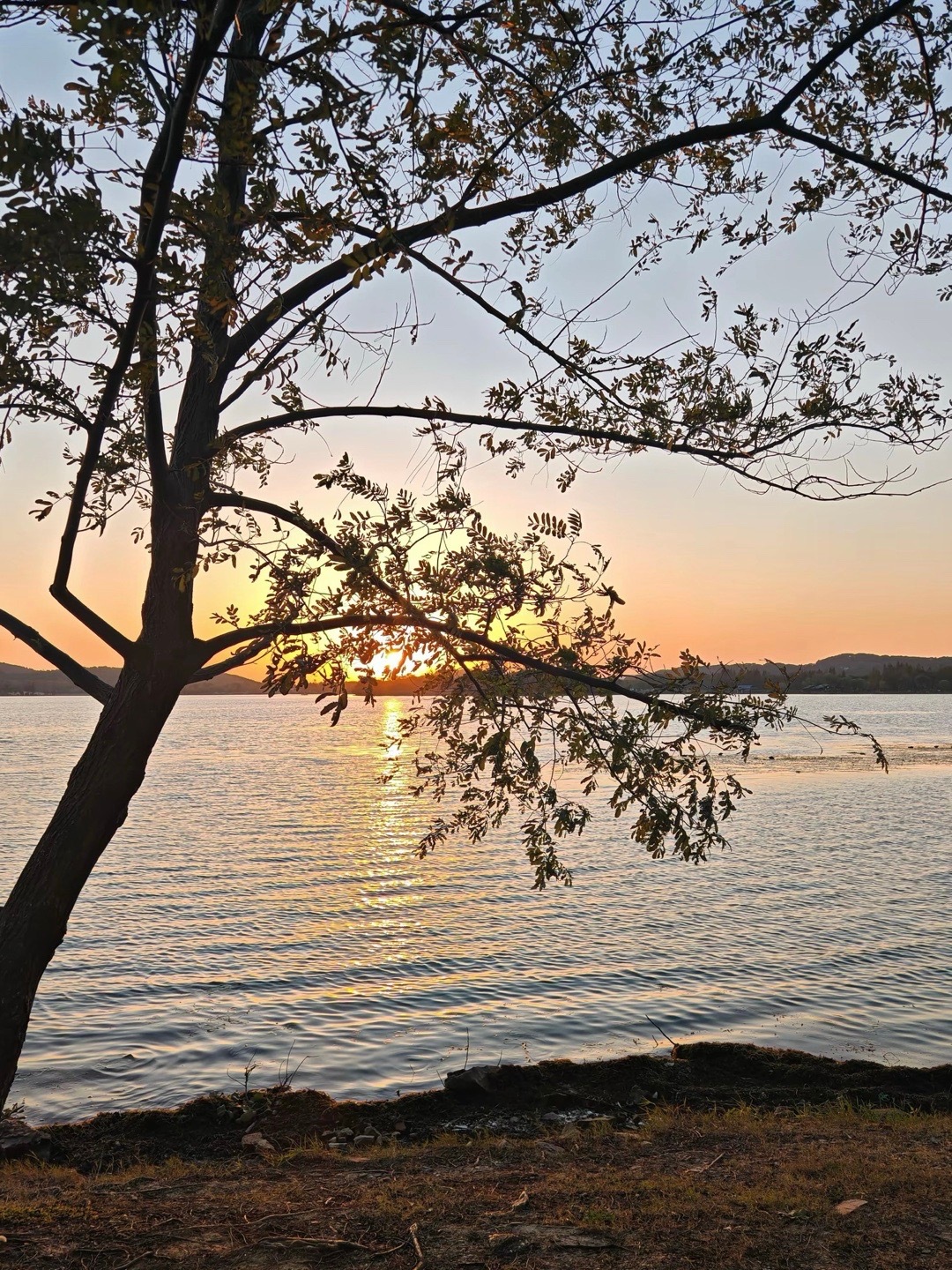 无论做什么，记得为自己而做，那就毫无怨言 