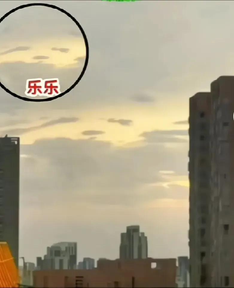 昨天上海天空出现熊猫云，是乐乐也回来了吗？它想最后看一眼故土，一路守护丫丫回来。