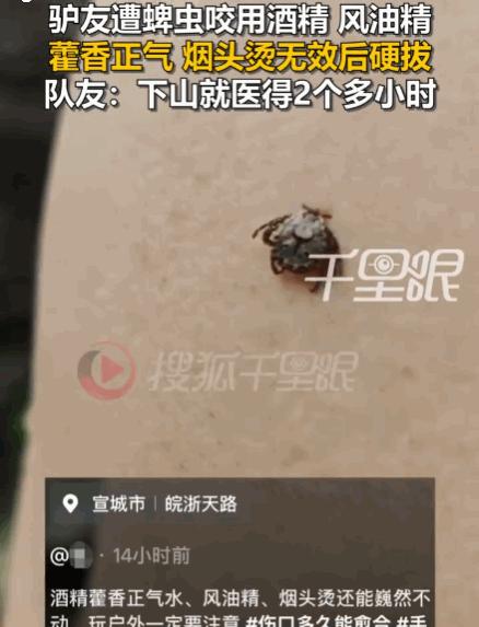 “太可怕了！”安徽宣城山区草木繁茂，绿意盎然，是不少驴友徒步散心的好去处，一群户