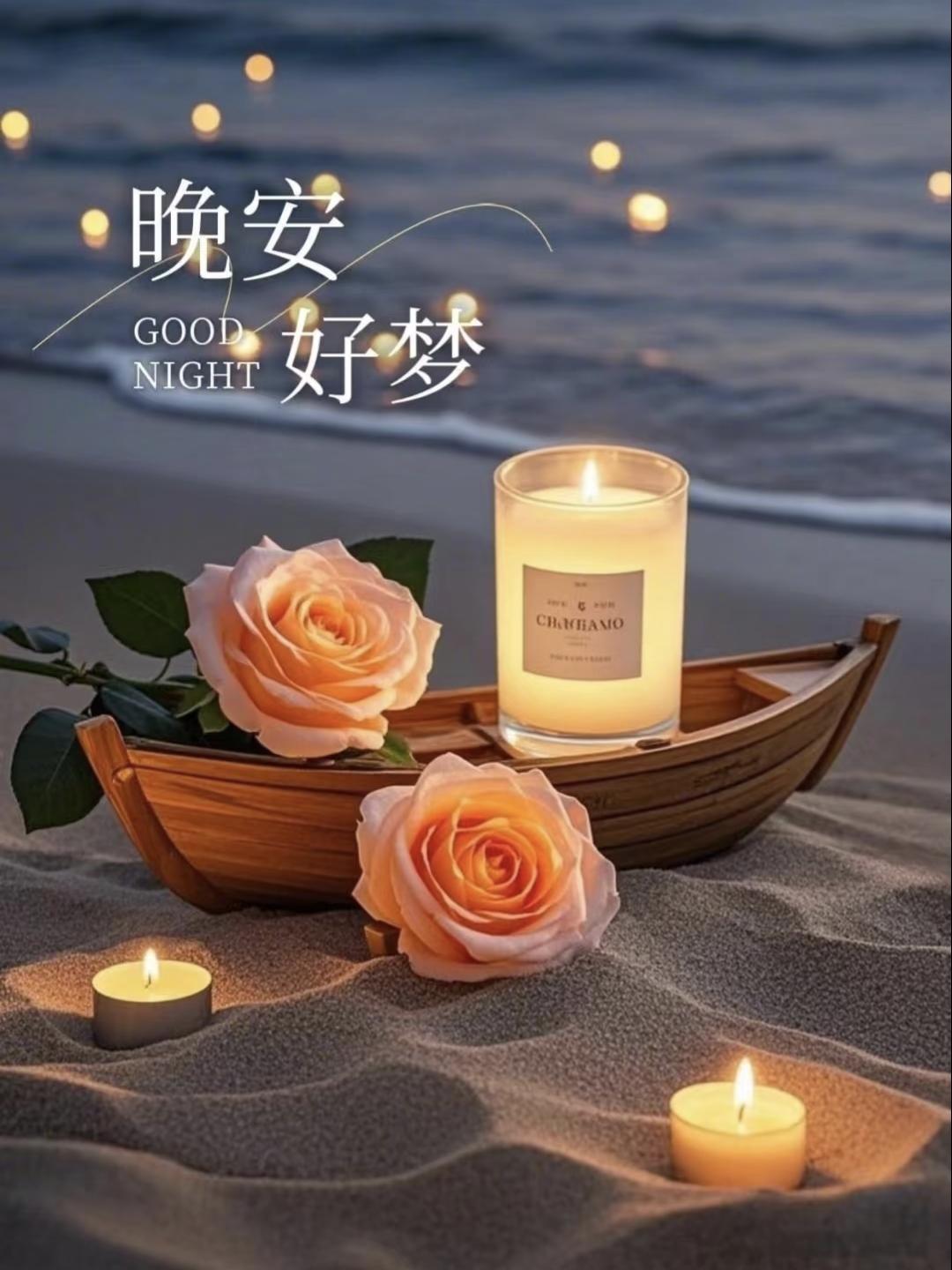 忙碌一天落幕，
愿亲爱的你，卸下疲惫，
梦里全是温柔与星光✨
忙里有欢喜，闲里有