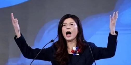 台湾蓝营终于摊牌了！郑丽文公开拒绝“一国两制”，不再模糊回避。这记重拳打向何方？