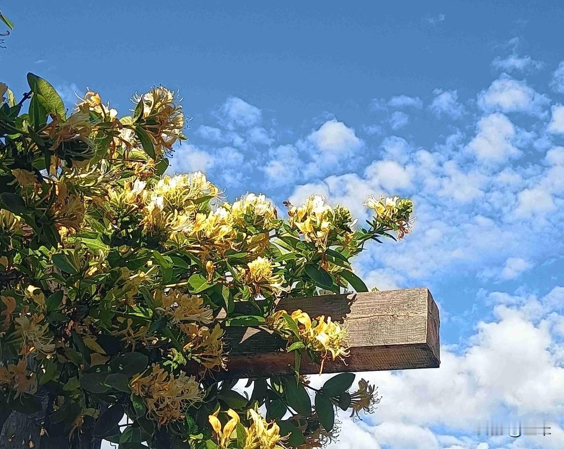 我的今日状态：😁轻松愉快
我这里的天气：☀️晴天