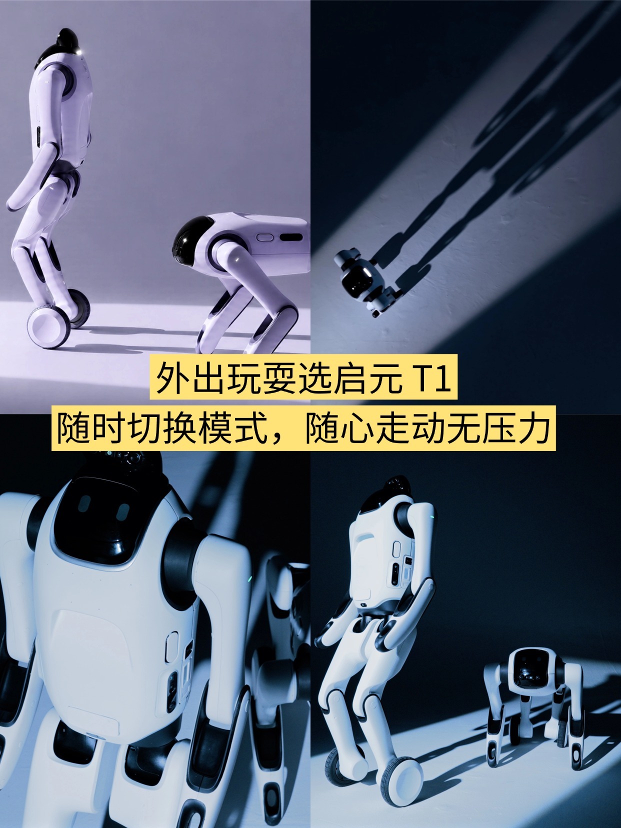 启元机器人这次要搞个大的？🤖最近真的有点频繁偶遇启元机器人了😂WAIC见过T