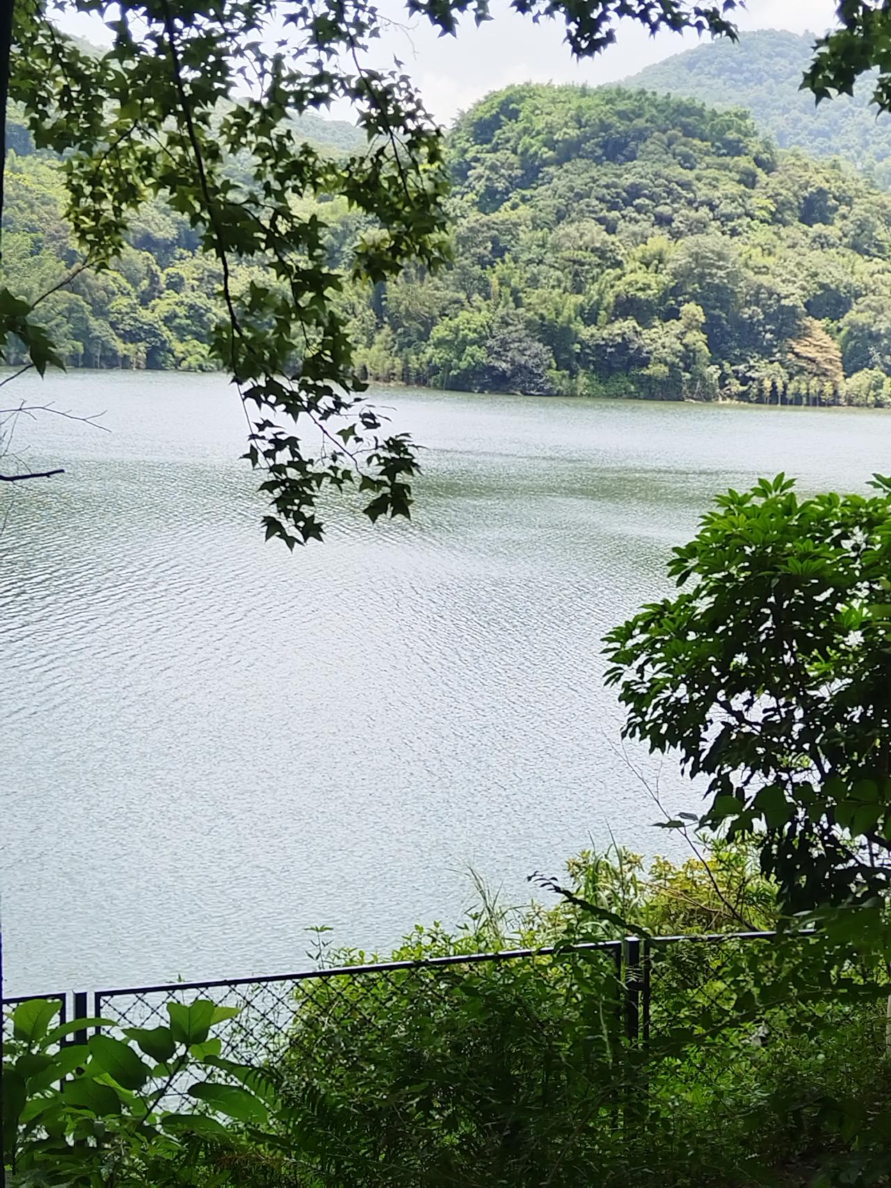 36度的天气在家，开了风扇，连呼吸都觉得够热了！开空调吹多了也不好！出去带湖边的