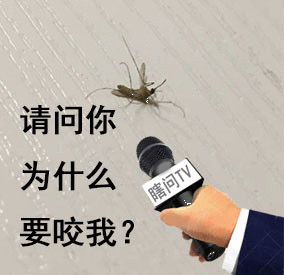 半夜被蚊子咬醒，这你能受得了，起来怒杀5只蚊子。。  ​​​