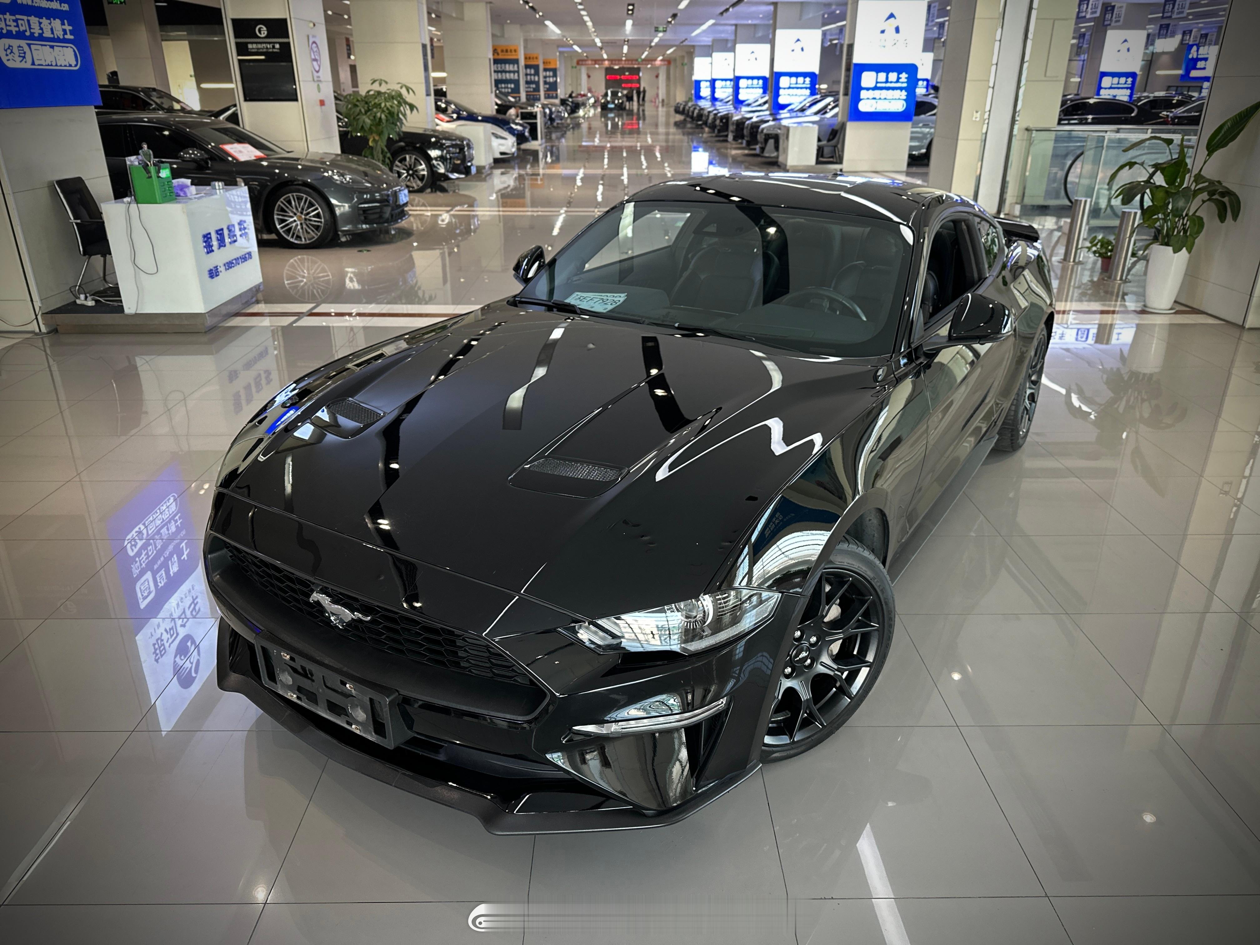 内蒙没有查博士！他们只有瓜子 维真 还有268V查博士抓紧拓展拓展业务啊现在的情