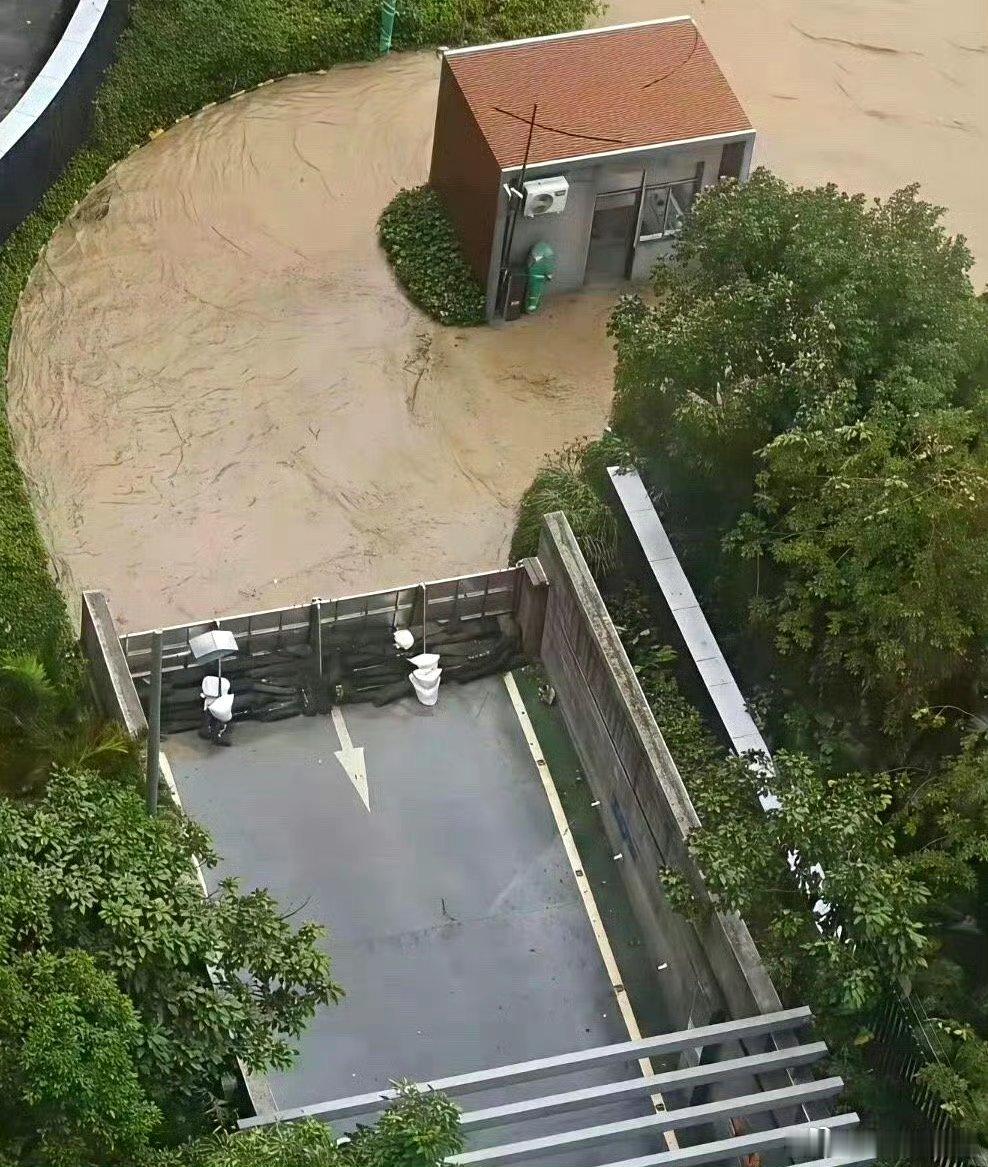 这物业费交的一点都不冤 