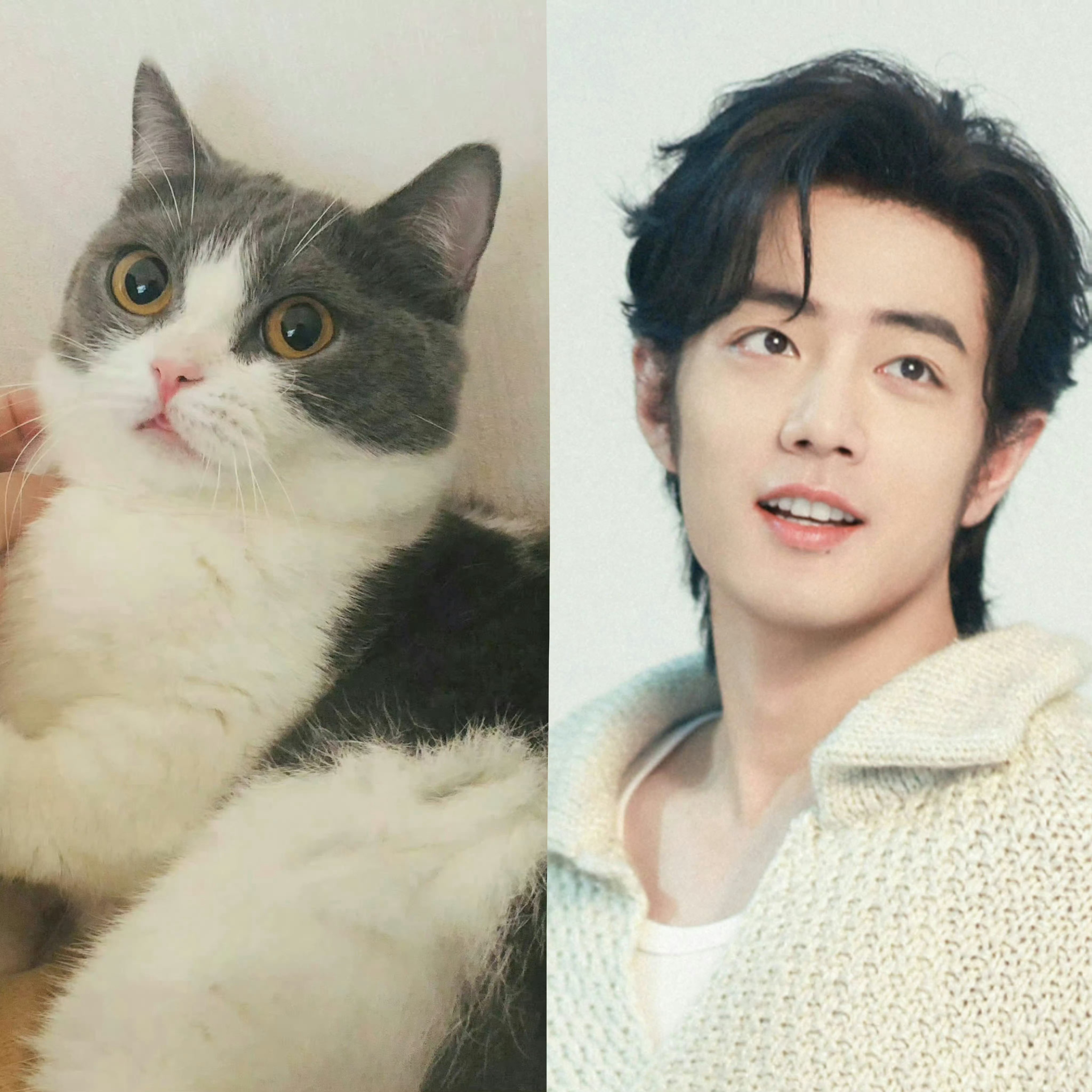 超可爱！！！！！