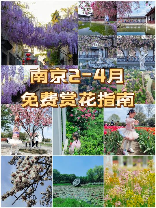 📍2-4月来南京这些花千万不能错过！