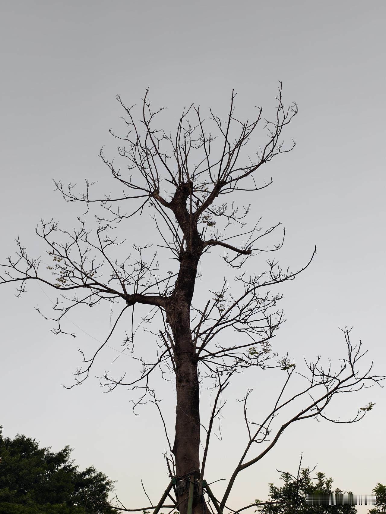 人这辈子，真别太“尖”了

最近看到一句话，挺戳心的，也挺有道理：“人，不要太尖