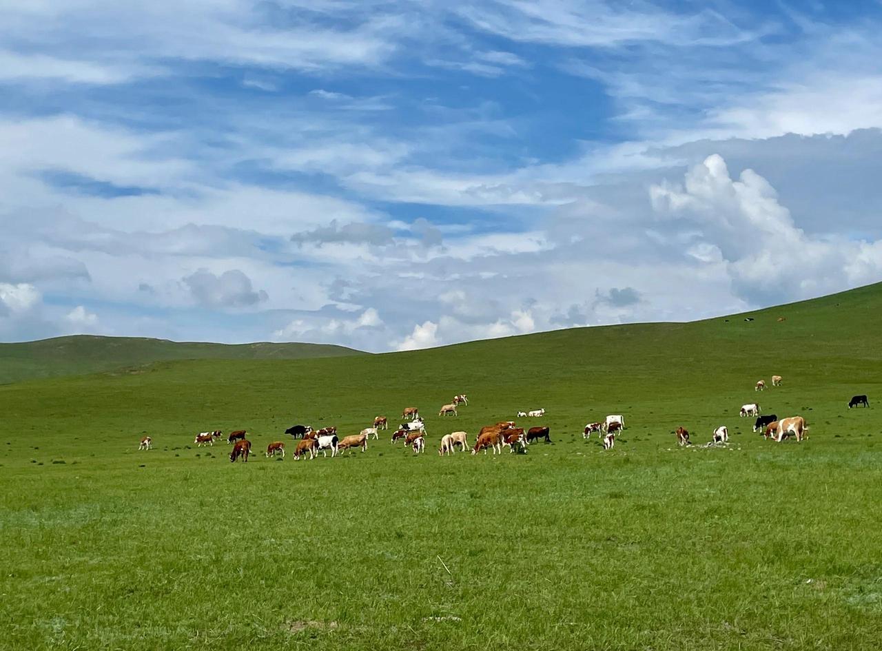 赤峰1月财政收入接近二十亿！

2026年1月，赤峰全市一般公共预算收入19.4