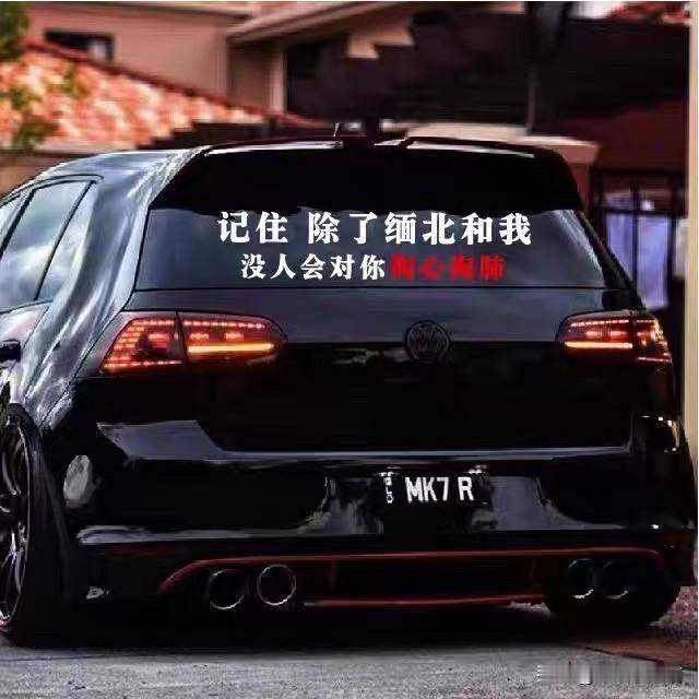 给我爸买的芹菜苗，韭菜苗，西瓜苗，洋柿子苗等等都陆陆续续到了。

我爸说别买了，