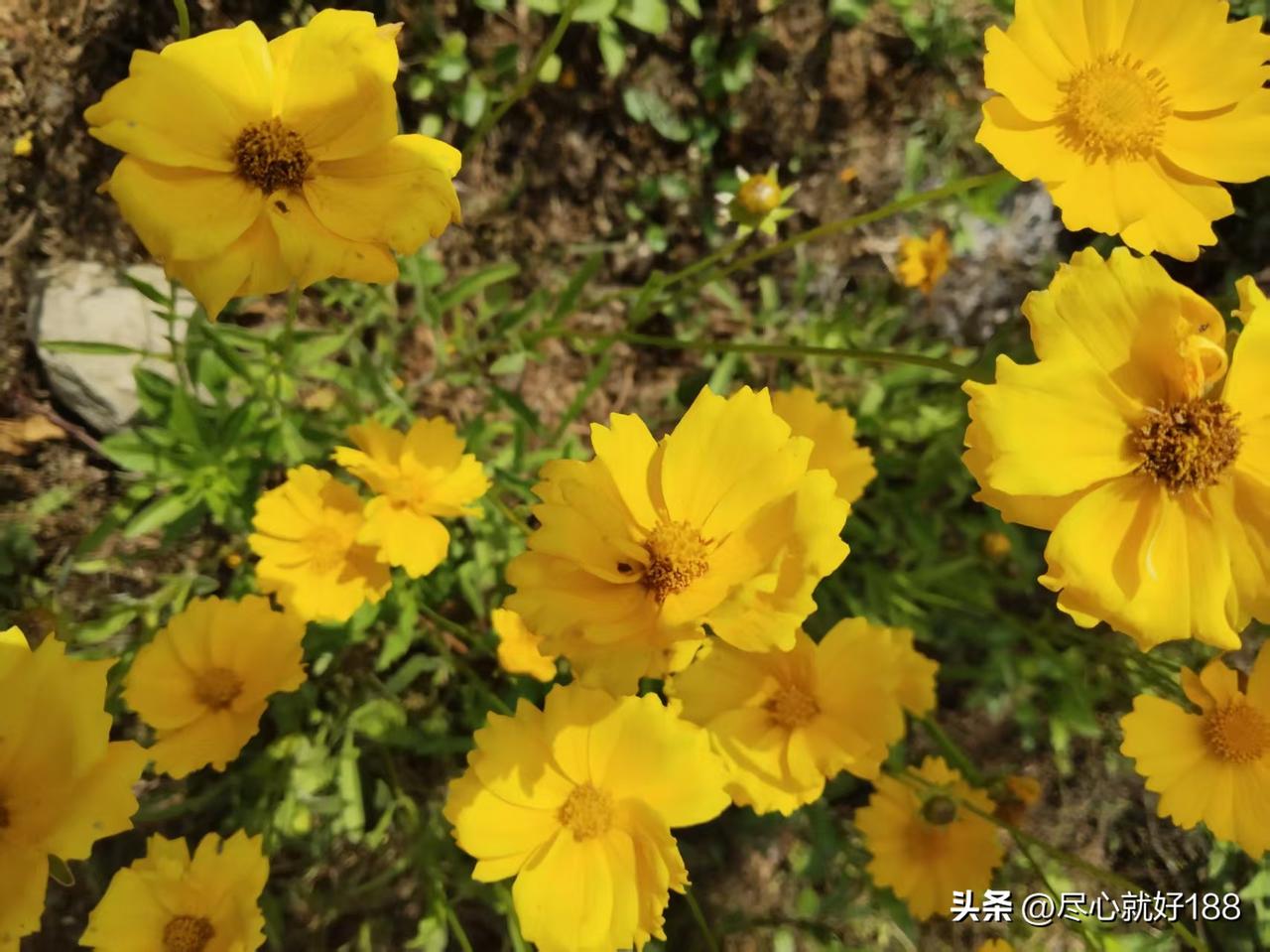 今天是妈妈带状疱疹的第28天，也是妈妈2026年第七次住院的第六天，妈妈依然疼得