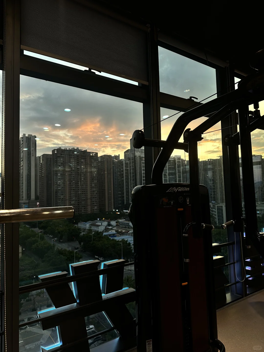 🧉Workout Daily