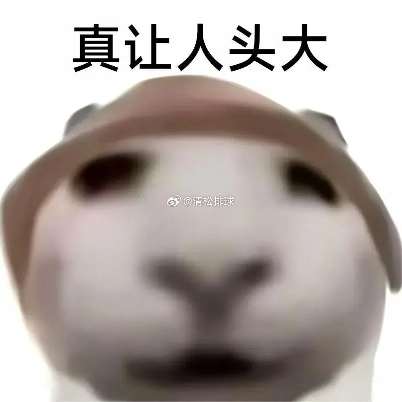 为什么隔壁就能做到我们到底差在哪？清松带你看排球2026年世界男排联赛