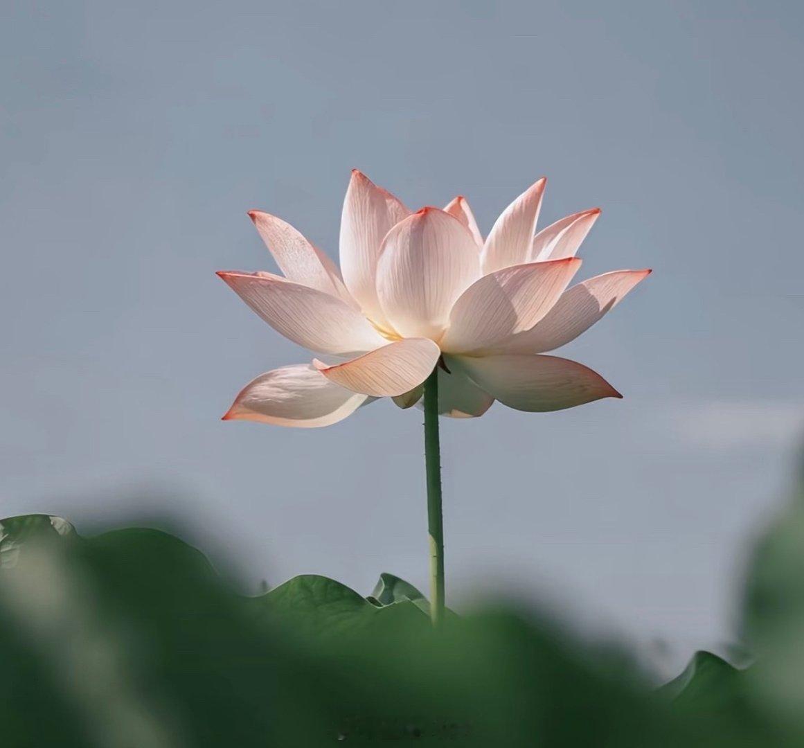 当你的认知越来越高时，你会开始真正理解身边的每一个人，没有好坏，没有对错，只是处