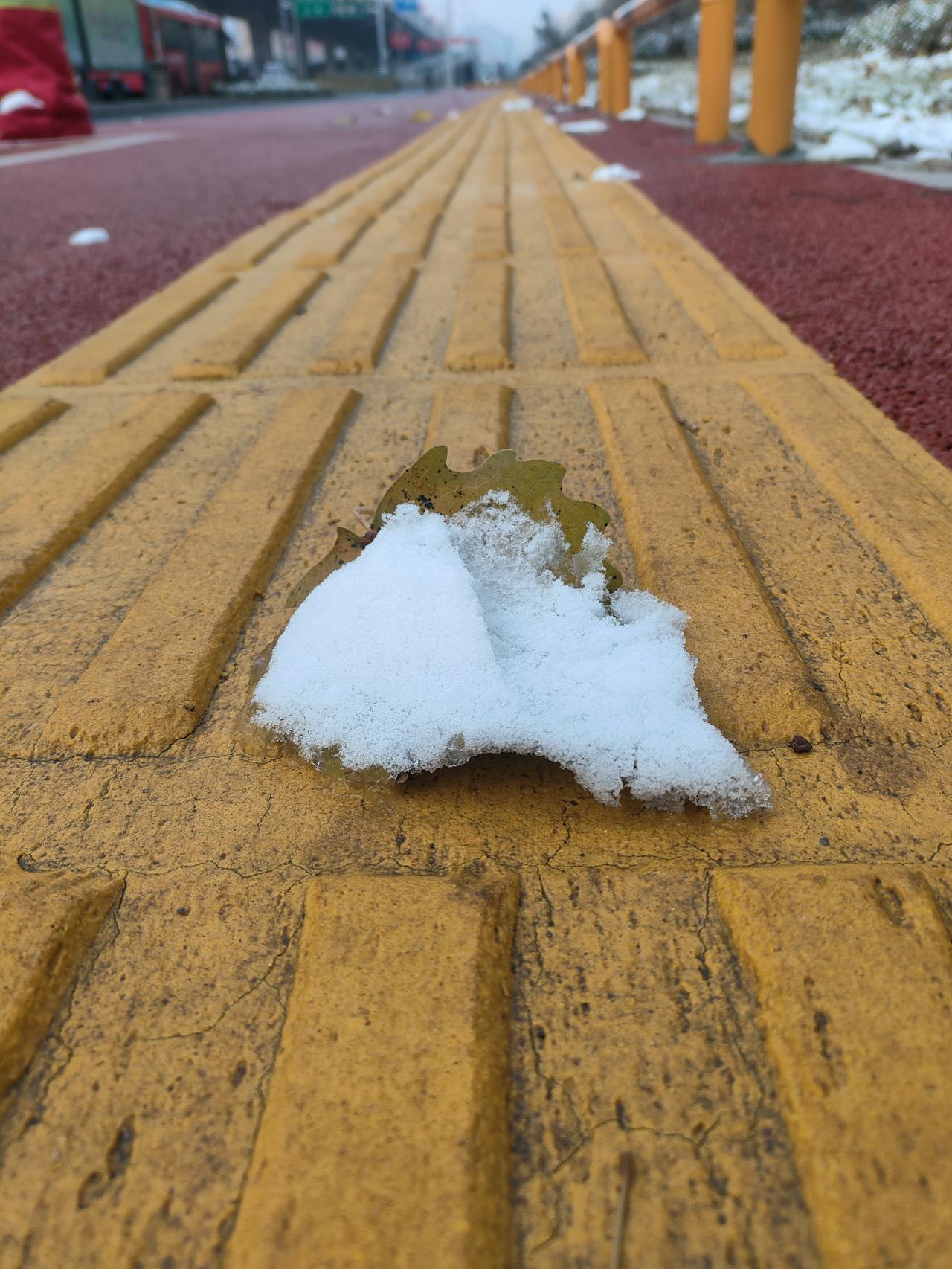 这一年知道了什么是自作自受，知道了什么是暗中标好了价格，知道了什么是种什么就收什