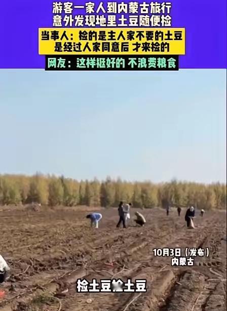 男子一家三口去内蒙古旅行，发现路边地里有很多土豆，就跑到地里去捡土豆。
 
谁知