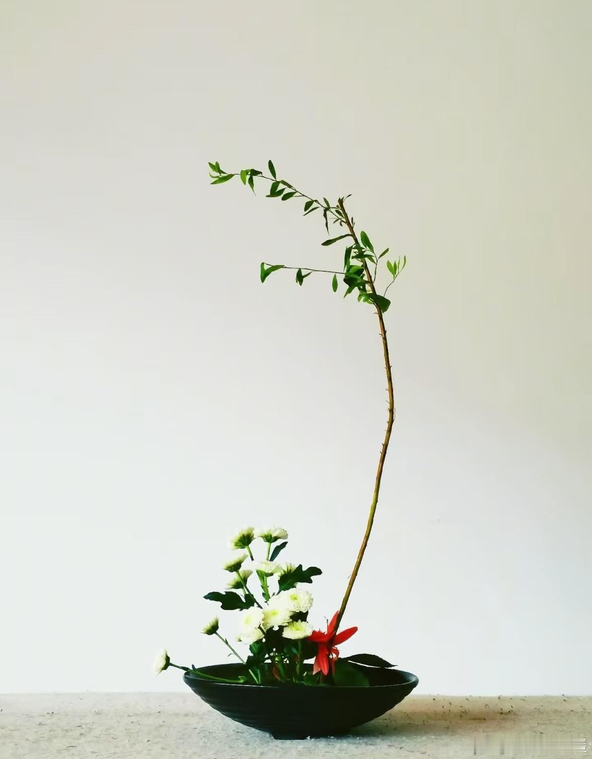 11年前教成人学员插花，仅留的作品之一。 