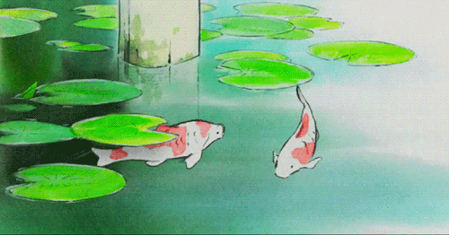 转发锦鲤有好运 