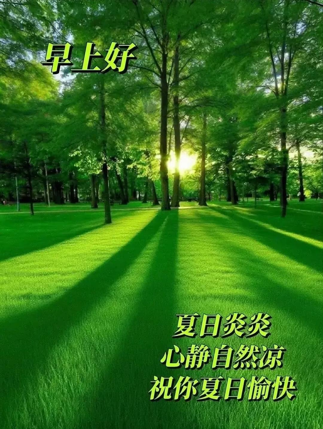 早上好，今天是8月14日星期五。
昨日早5点中国U17女排3-1艰难淘汰多米尼加