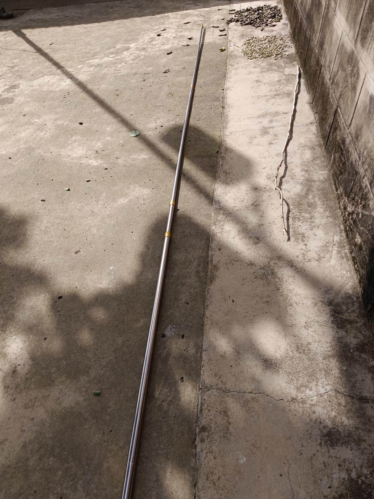 枇杷熟了
  买根抄网杆，从来没抄过鱼，如今不敢爬树，它的价值就体现出来了，树顶