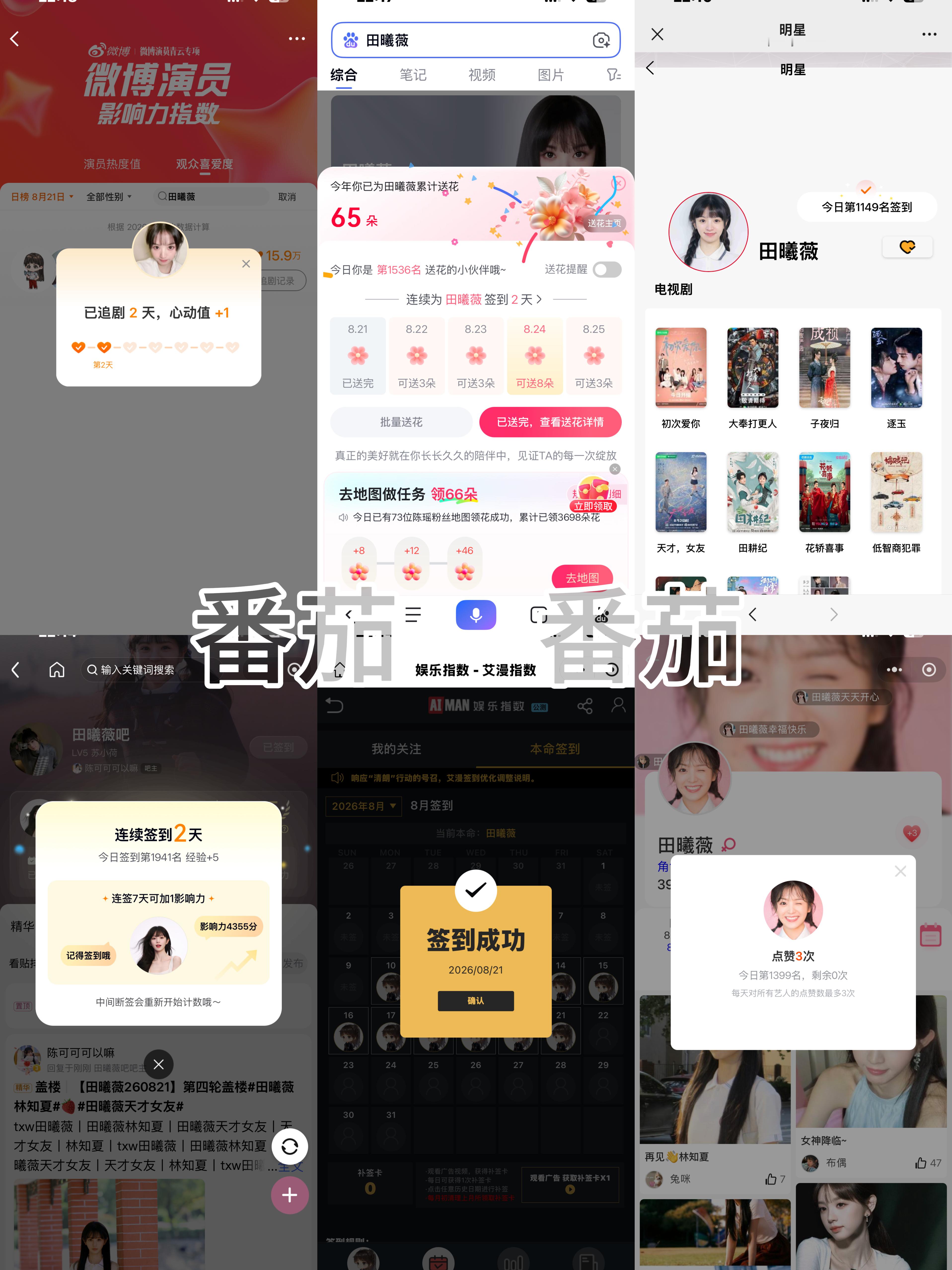田曦薇  20260821 📚🍊  专栏 · 🧡我的小猫叫薇薇^