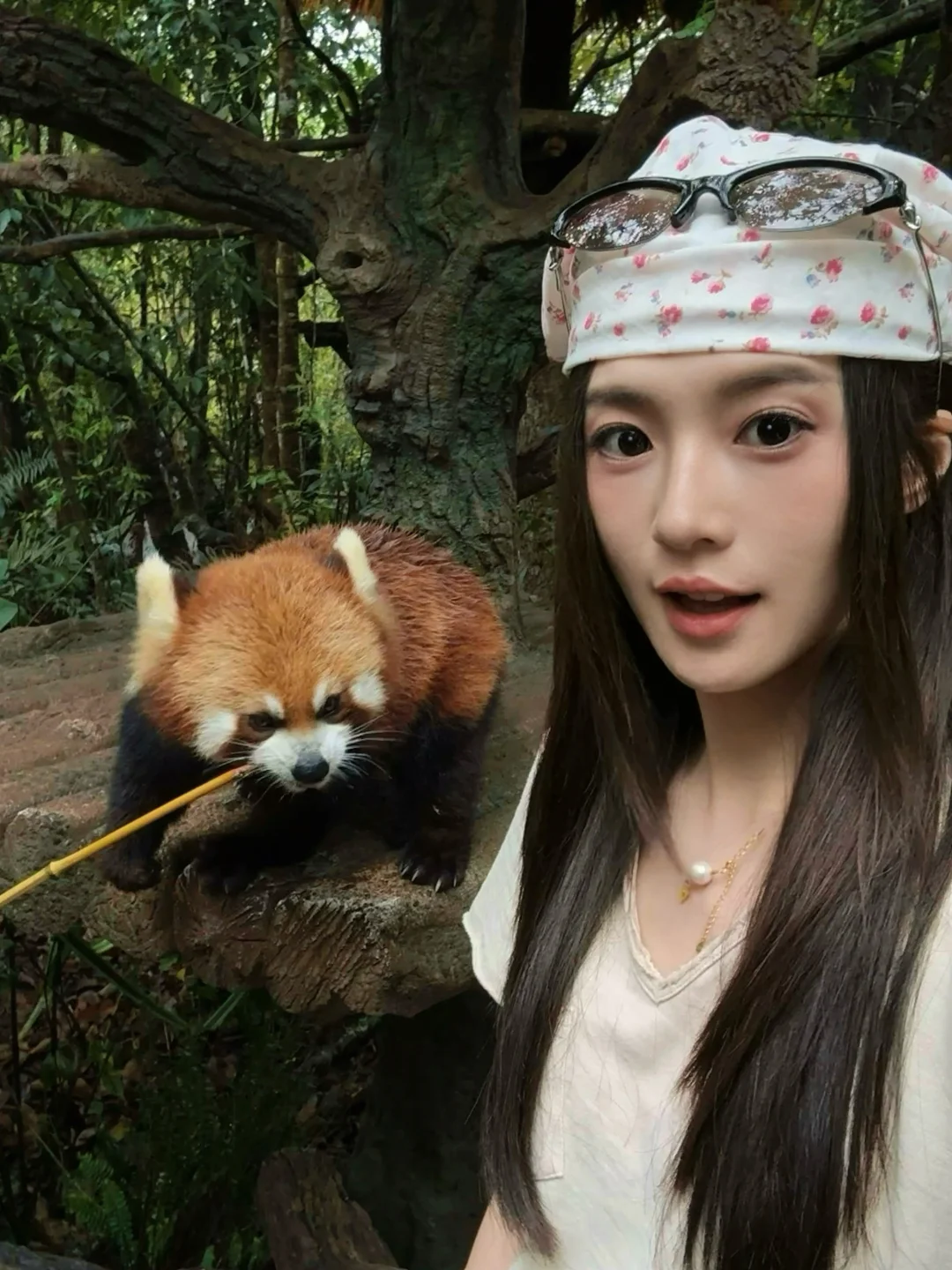 🐻🪺૮・ᴥ - ა