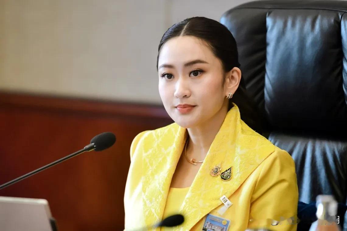泰国反对派自导自演“大戏”，内斗何时休？近期，泰国反对派频频上演“大戏”，先是预