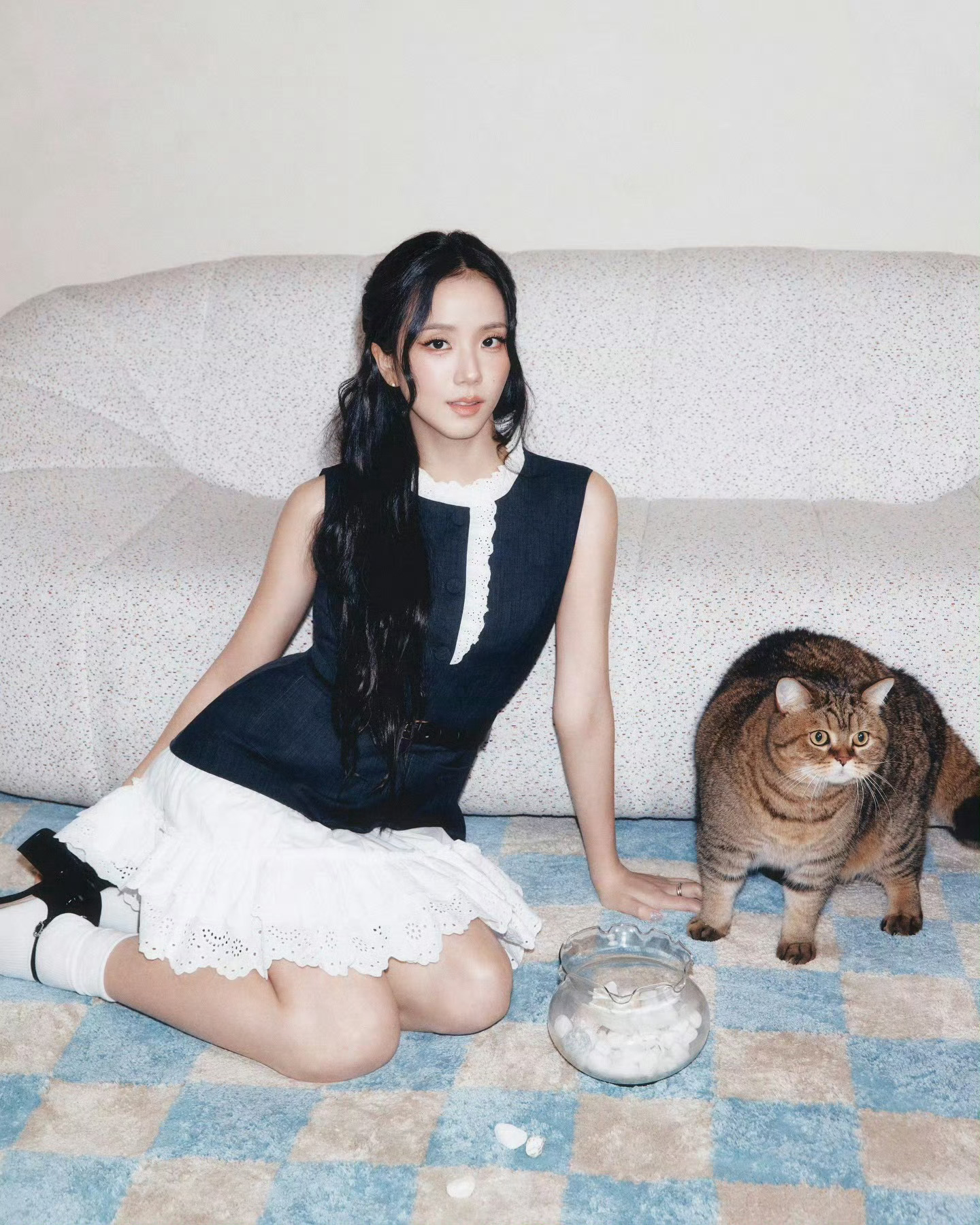 我秀旁边这大肥猫 