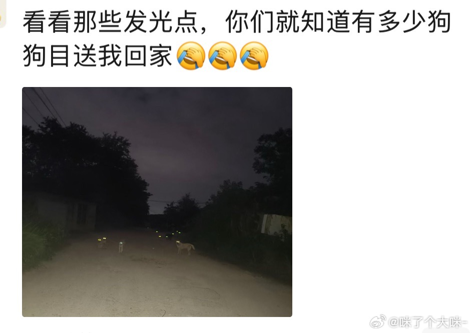 就问你们，狗狗狗狗多不多