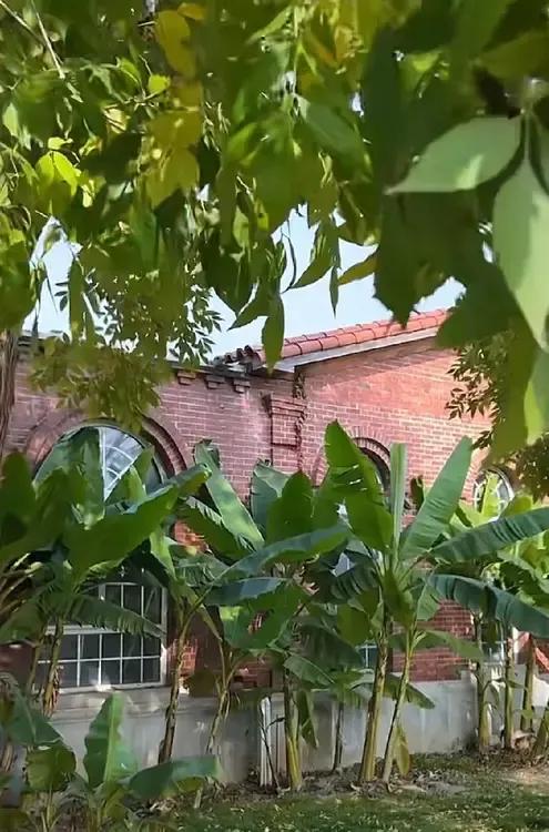 媳妇注重养生，我的生活发生了巨变！


首先不让吃肥肉，红烧肉再也别想了，就连包