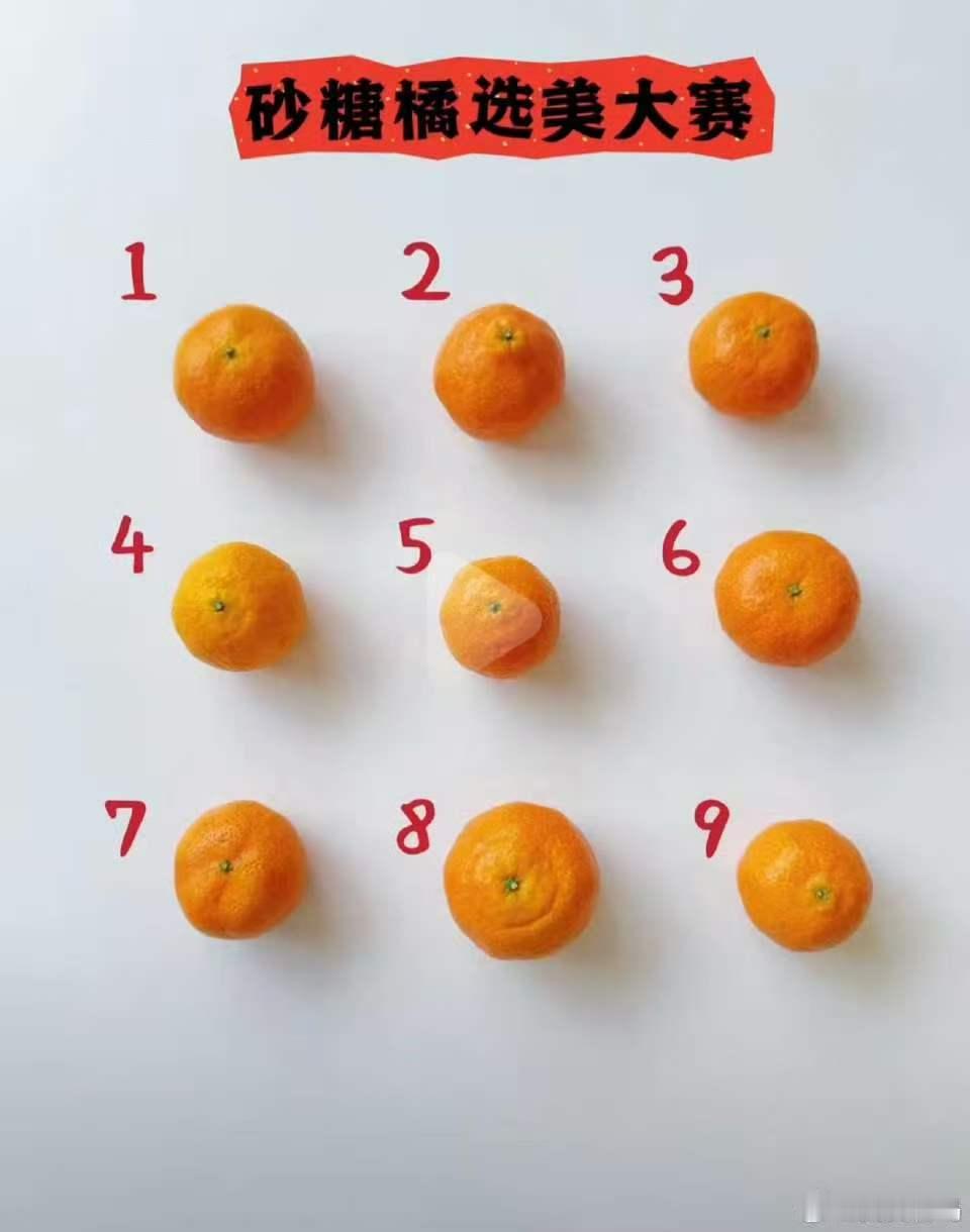 宋亚轩新年日常叼着红包就来了宋亚轩日常砂糖橘选美现场 宋亚轩日常砂糖橘选美现场（