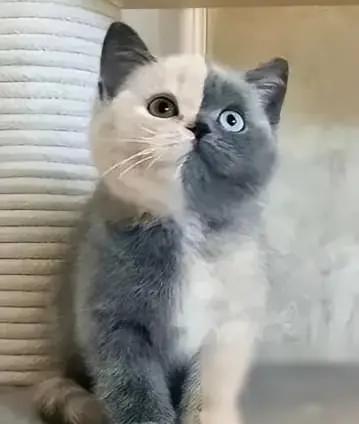 凌晨一点多，微信突然弹个不停。
同一个人，反复加我好友，拒了好几次还在发。
 