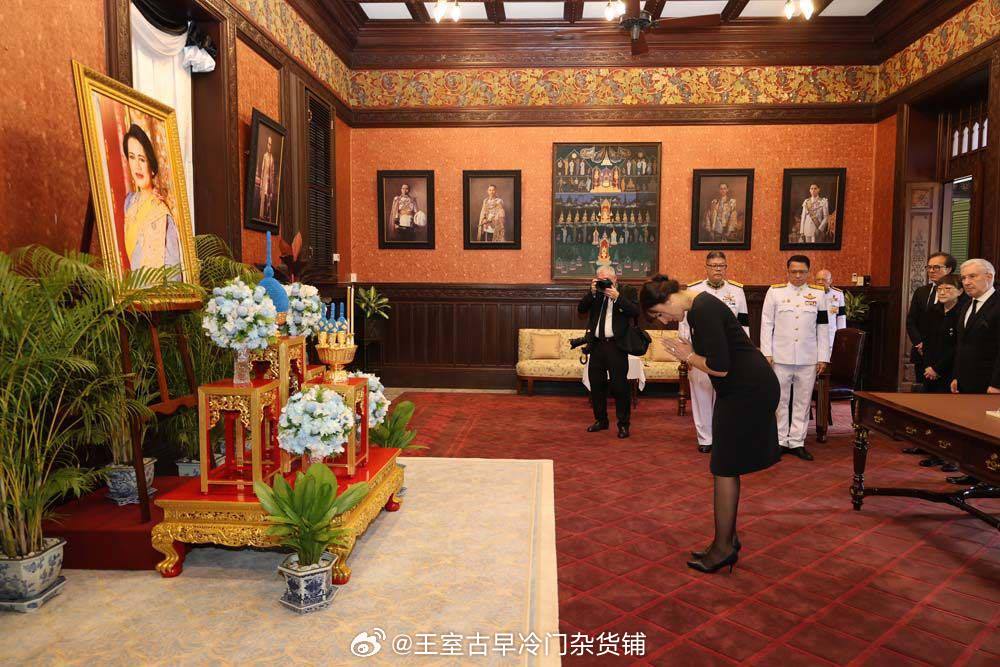 王室王室法国王室 2026年3月5日，穆拉特王妃雅思敏吊唁红唇姐。这位真是稀客，