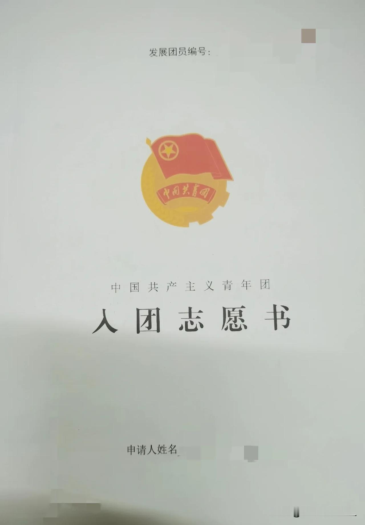 国庆假期初中的儿子拿了两大沓入团资料回家填写，
光填写资料就用了一两个小时。
