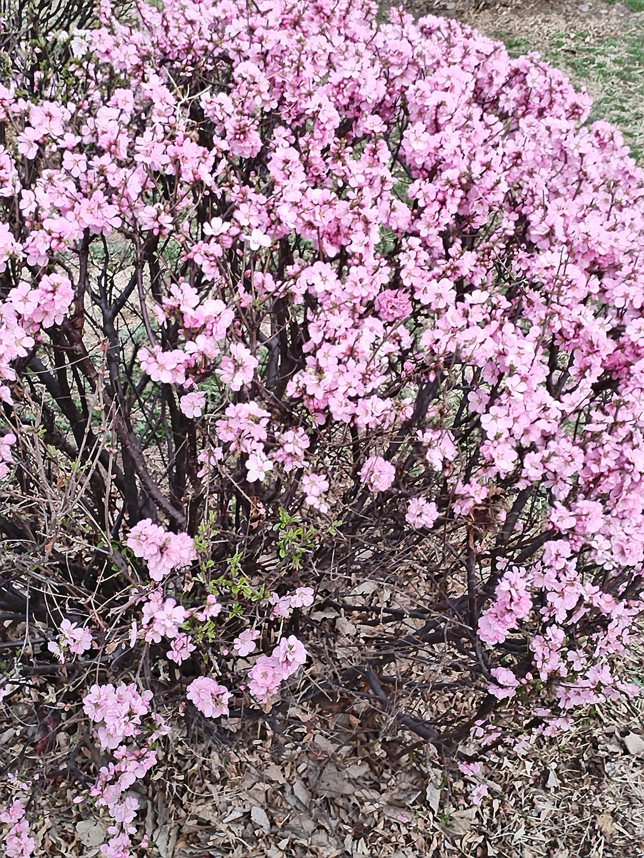 性格会决定人生吗性格有重要影响，但不是唯一决定因素。家庭背景、教育资源、社会经济