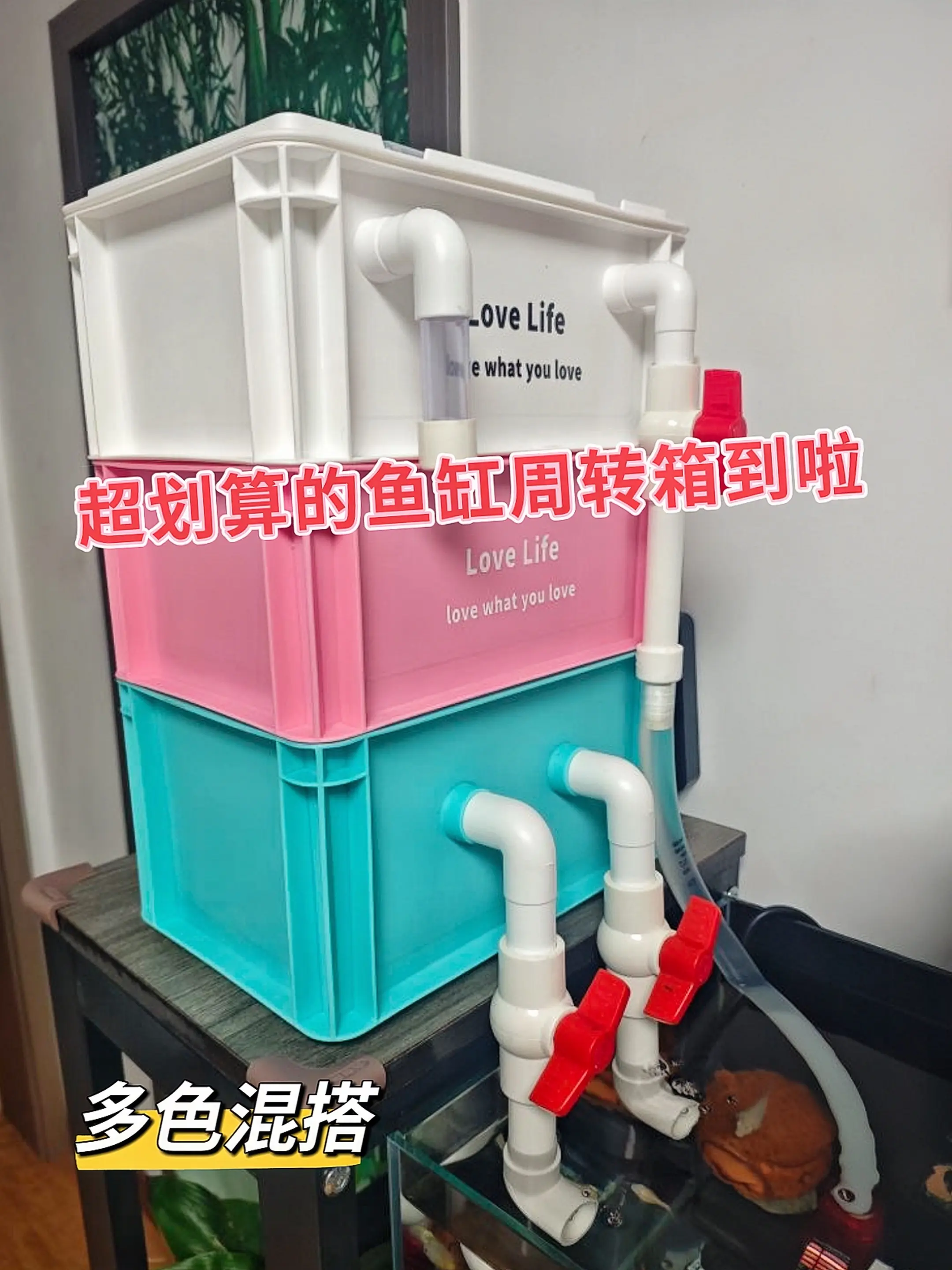 ✨ 三层阶梯式强滤，水质焕新 独创三层模块化设计：首层魔毯拦截大颗粒残...