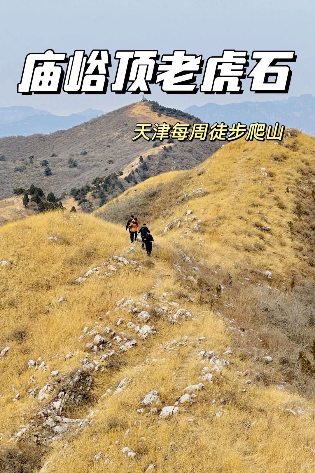 天津的山脊线🏔1.5h直达，快冲🚌